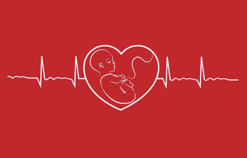 Vì sao cần siêu âm tầm soát tim thai