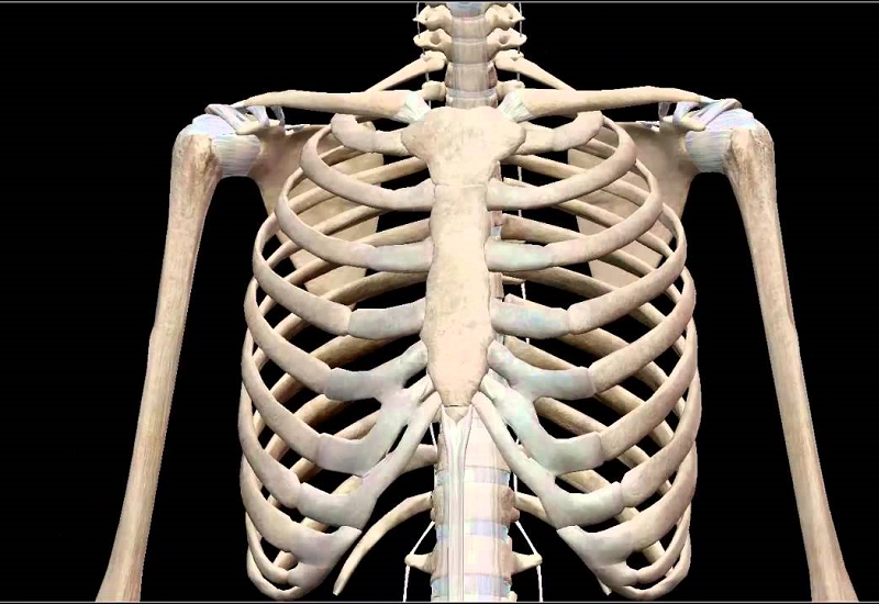 Đo mật độ xương nhằm xác định khả năng bị loãng xương