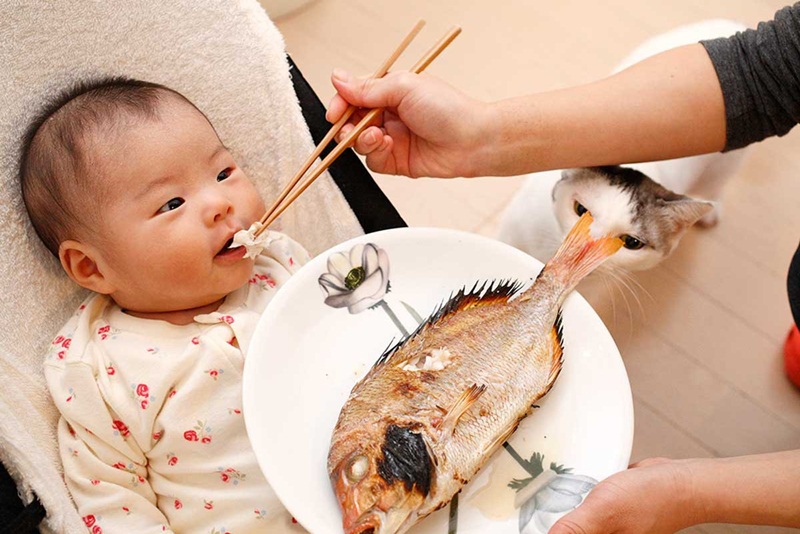 Cho bé ăn quá nhiều cá, hoặc không biết cách chế biến an toàn sẽ gây hại cho sức khỏe