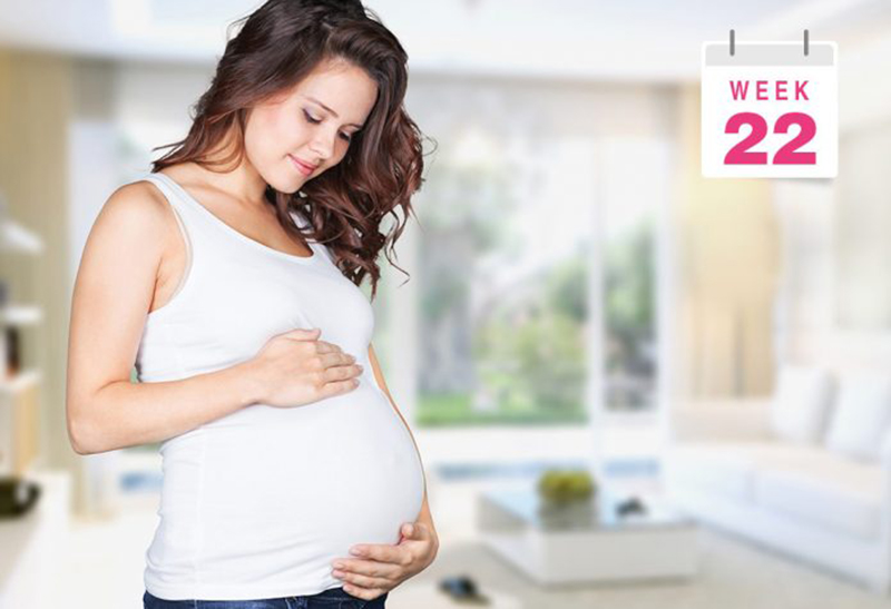Mẹ bầu cần biết khám thai tuần 22 gồm những gì để thấy được mức độ quan trọng khi khám thai ở mốc này