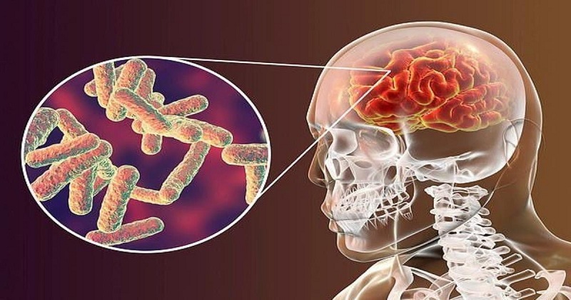 vi khuẩn Hib gây bệnh gì