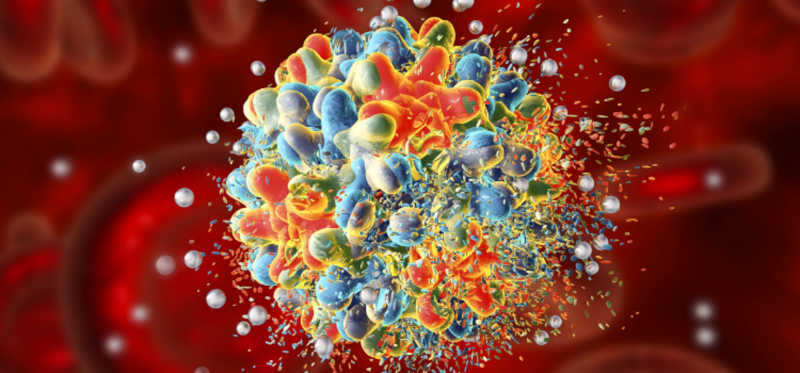 Virus viêm gan B hoạt động sẽ nhân số lượng và gây bệnh