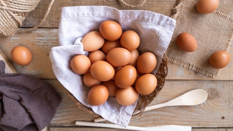 Lượng protein trong trứng gà