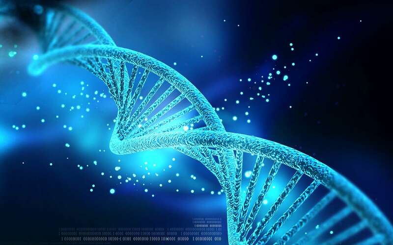 Xét nghiệm gen xác định huyết thống