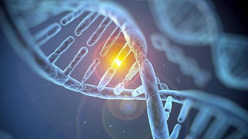 Các đột biến gen có thể do di truyền từ bố mẹ hoặc trong quá trình phát triển của các tế bào trong cơ thể