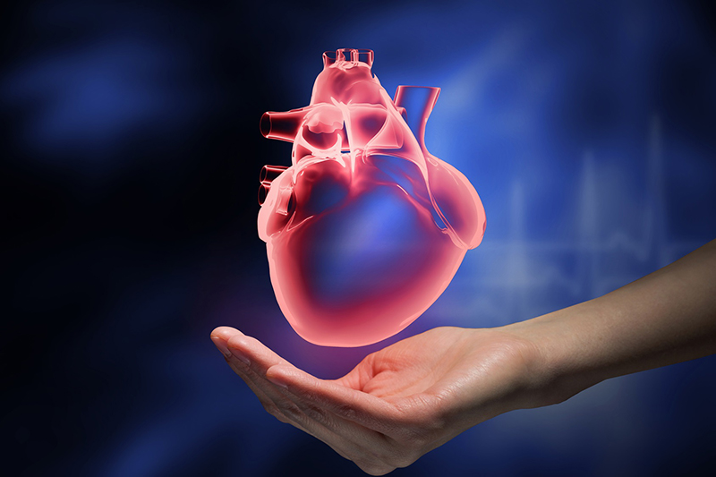 Bảo vệ tim trước các bệnh lý giúp bạn có một cuộc sống khỏe mạnh