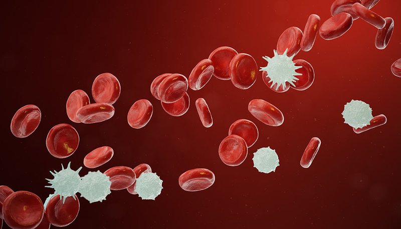 Ung thư máu là do bất thường các dòng tế máu