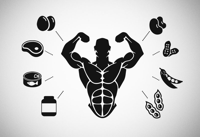 Protein cần thiết để nuôi dưỡng và phát triển cơ bắp