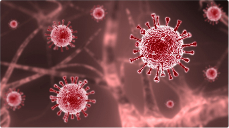 Hiện nay có rất nhiều chủng virus với mức độ nguy hiểm khác nhau