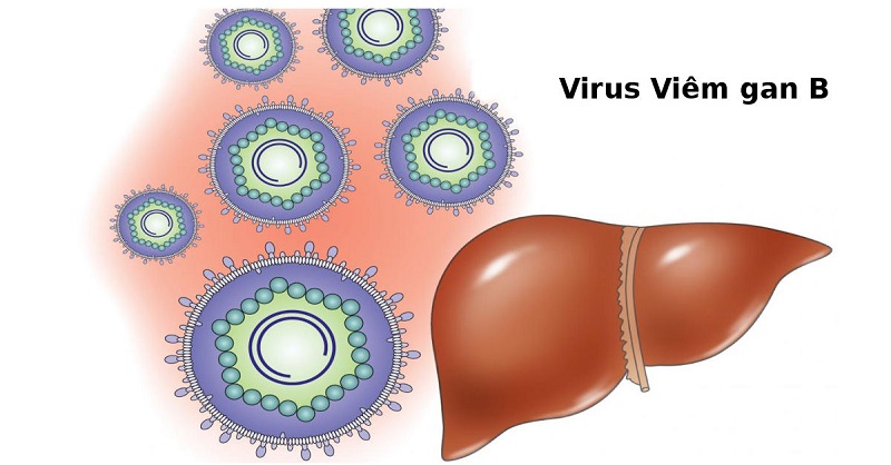 Virus viêm gan B được coi là "sát thủ thầm lặng" dẫn tới ung thư gan