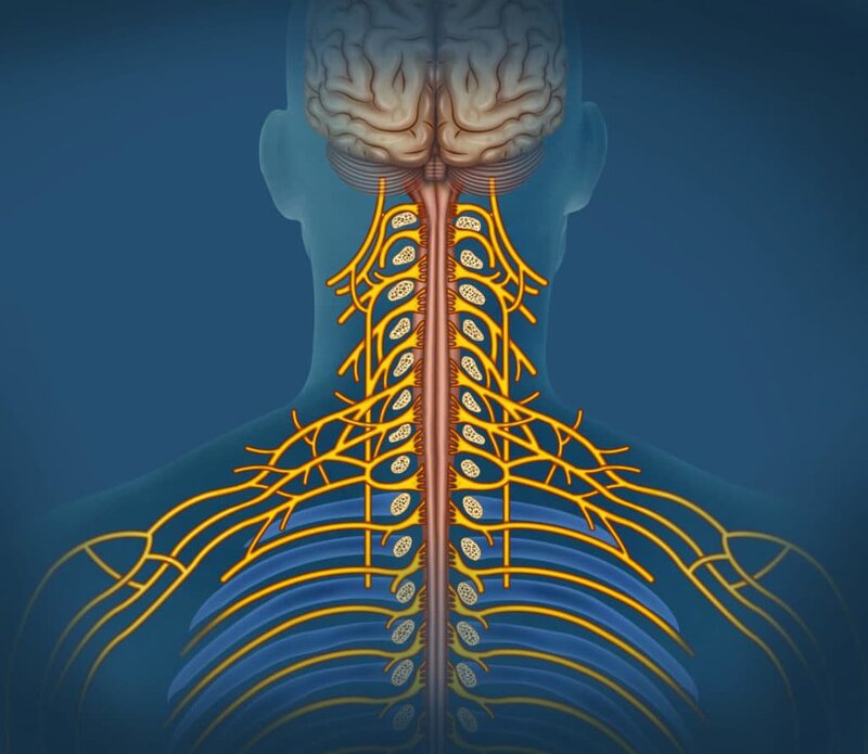 Đau đơn dây thần kinh là dạng tổn thương dây thần kinh khá thường gặp