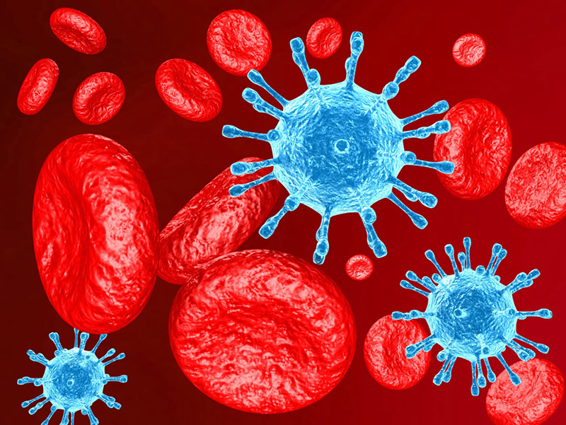 Virus HIV khiến cơ thể người bệnh suy kiệt một cách từ từ, cuối cùng là tử vong
