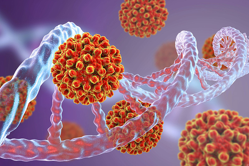 Virus viêm gan B có khả năng hủy hoại các tế bào gan rất nghiêm trọng