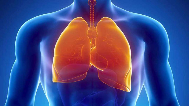 Khối u thần kinh nội tiết có thể hình thành và phát triển ở phổi