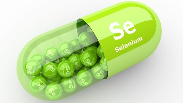 Selen (Se) là một yếu tố vi lượng thiết yếu có vai trò trong nhiều chức năng sinh học