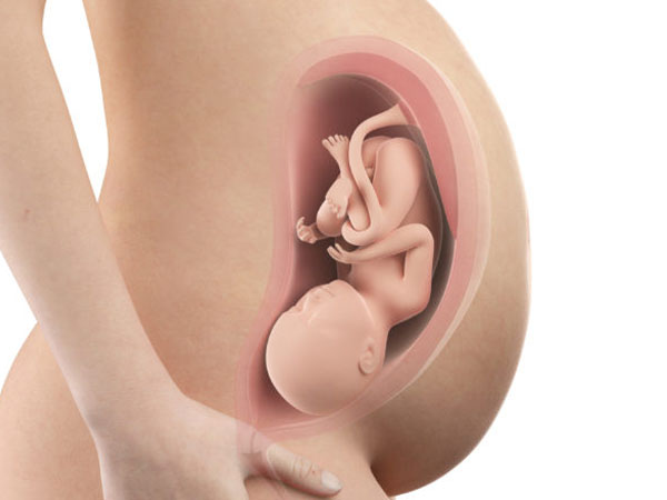  Khoảng từ tuần thai thứ 16 trở đi, khi áp lực trong buồng tử cung tăng dần đè lên đoạn eo tử cung