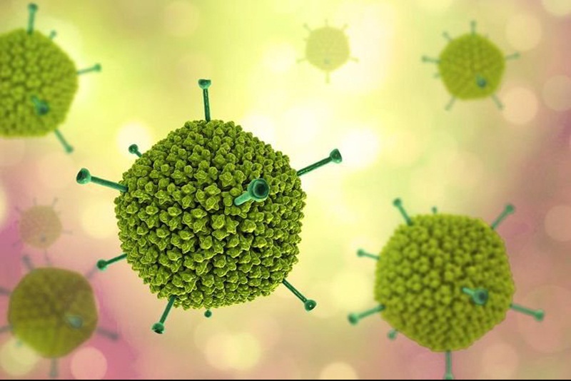 Viêm giác mạc chấm nông do virus Adenovirus gây ra
