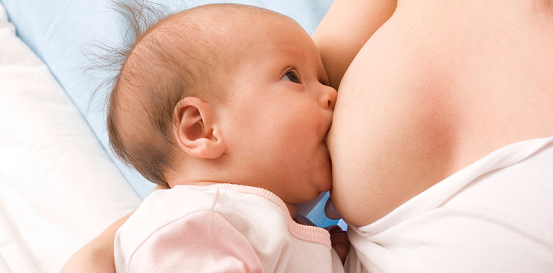 Trong 6 tháng đầu, trẻ sơ sinh hấp thu dinh dưỡng hoàn toàn từ sữa mẹ