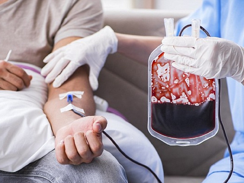 Cơ thể chúng ta sản xuất bao nhiêu máu một ngày