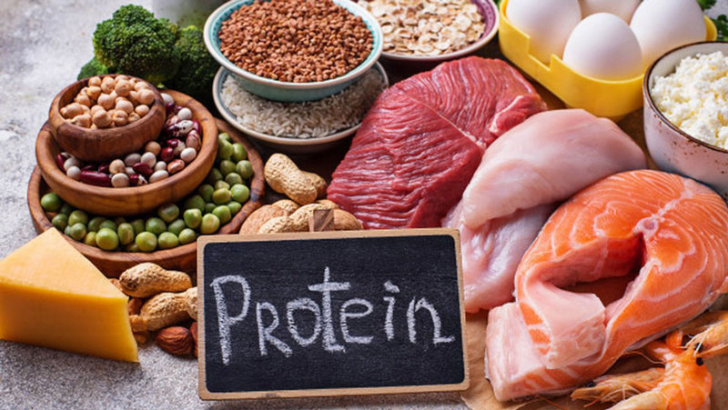 Protein là dinh dưỡng không thể thiếu với bệnh nhân trị ung thư