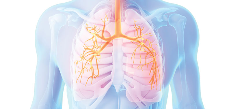 Khi cơ hô hấp yếu, bệnh nhân có thể bị suy hô hấp