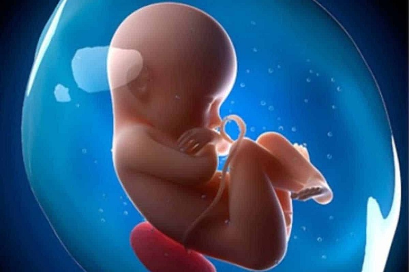 Xét nghiệm ADN thai nhi hiện nay đã có thể được thực hiện từ rất sớm, cho kết quả nhanh và chính xác