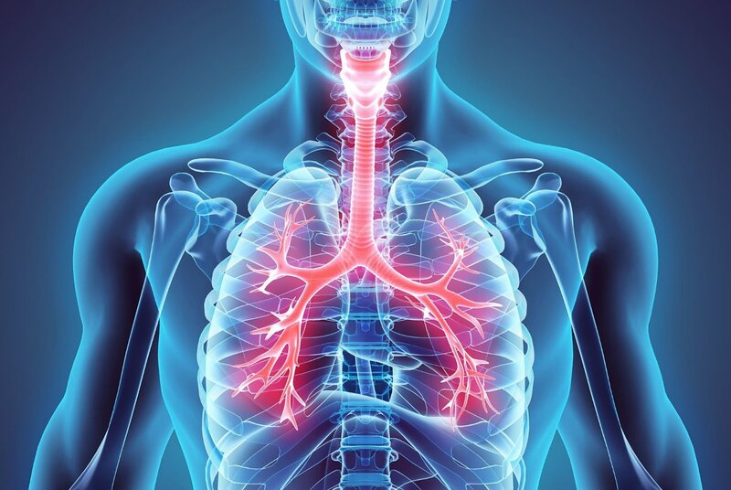 Lá phổi khỏe mạnh là tiền đề cho một sức khỏe tốt