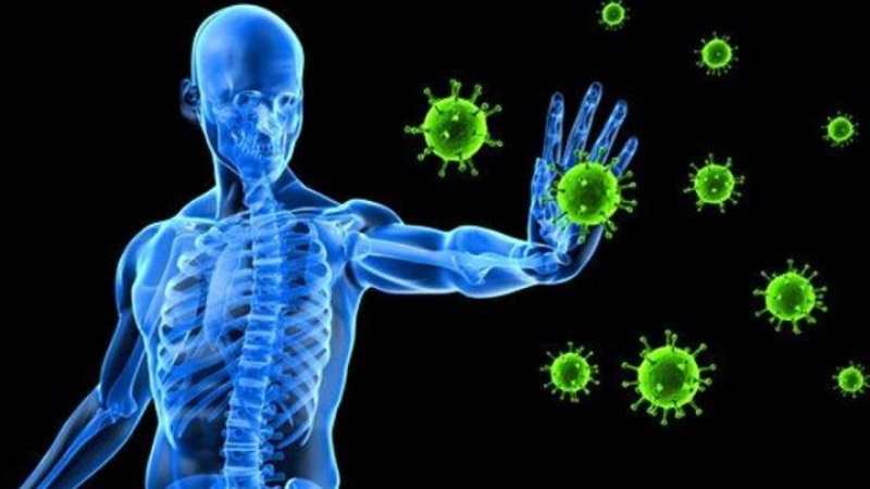 Vacxin đi vào cơ thể làm kích hoạt hệ thống miễn dịch chống lại virus gây bệnh Covid -19