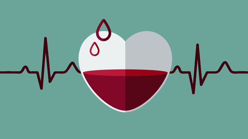 Chỉ số hồng cầu thấp ảnh hưởng trực tiếp tới sức khỏe