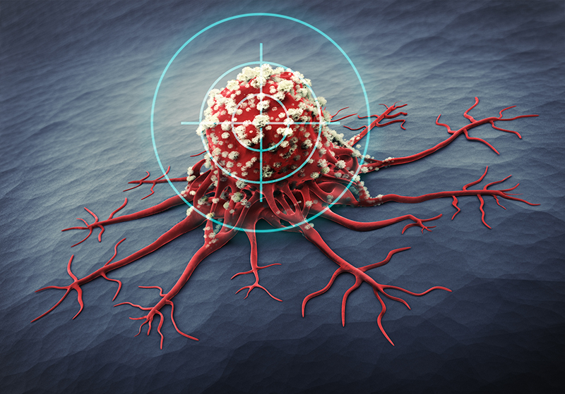 Các khối u có nguồn gốc từ tế bào thần kinh nội tiết có thể khởi phát ở bất cứ cơ quan nào trong cơ thể