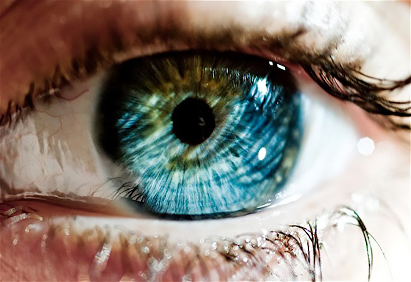 Mống mắt là khu vực quyết định màu sắc của đôi mắt