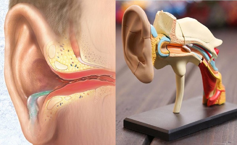 Viêm tai giữa có thể gây giảm hoặc mất thính lực
