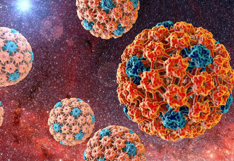 HPV là nguyên nhân chính dẫn tới bệnh sùi mào gà ở nam