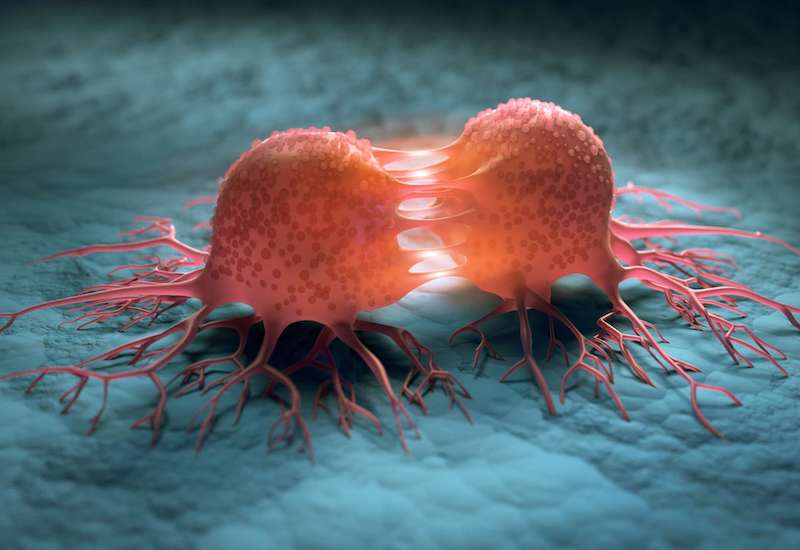 Các tế bào ung thư sẽ chẳng chịu đứng im một chỗ mà chúng có khả năng di căn tới nhiều cơ quan khác nhau