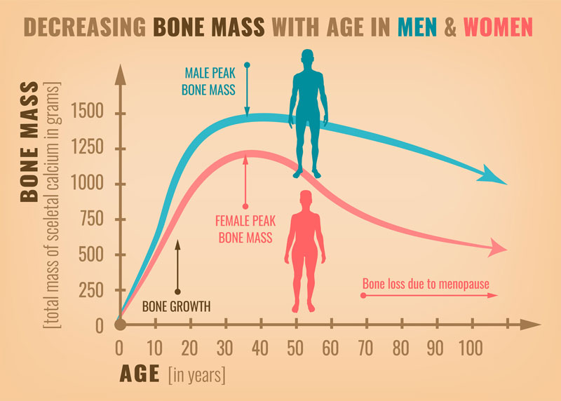khối lượng xương là gì