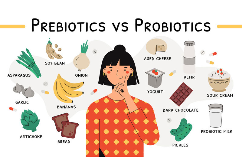 Chúng ta nên ưu tiên bổ sung prebiotic là thực phẩm thay vì sử dụng chế phẩm sinh học nhé!