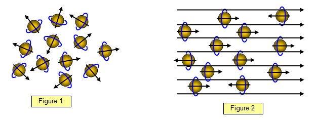 Các proton ở trạng thái tự do (1) và trạng thái kích thích (2) 