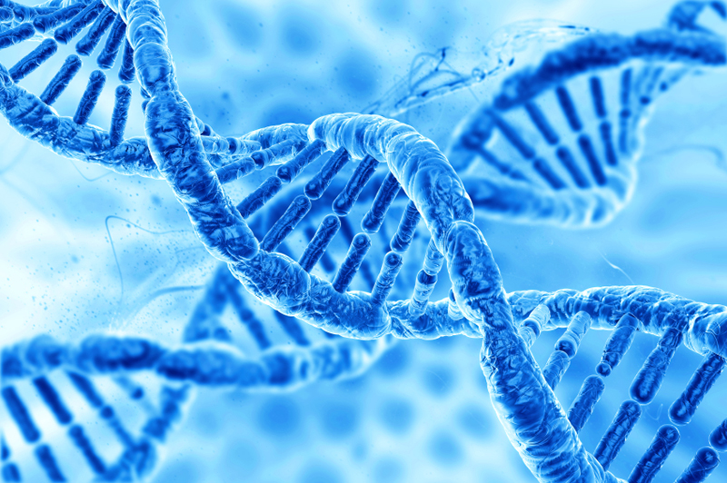 Xét nghiệm gen là phương pháp phân tích cấu trúc DNA (Deoxyribonucleic Acid), xác định yếu tố và đặc điểm di truyền trong gen