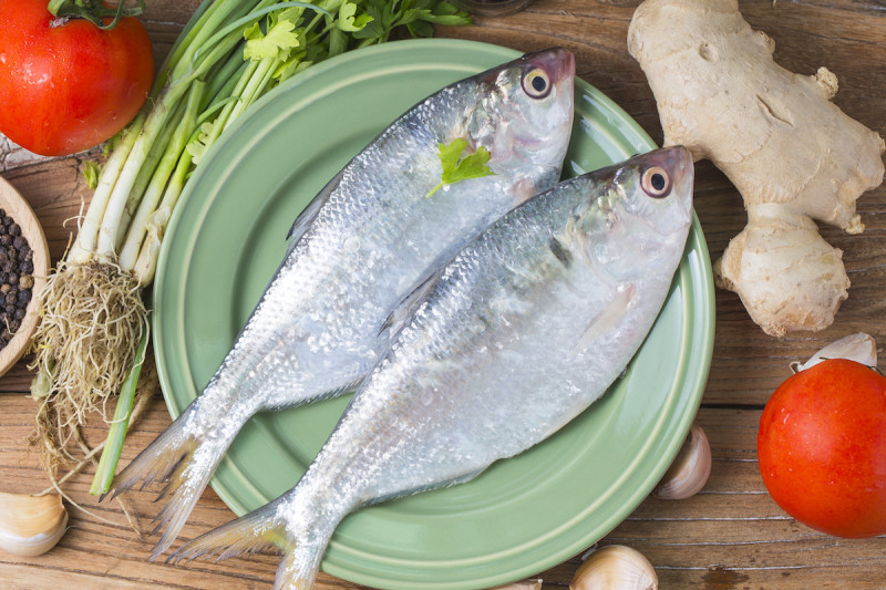 Cá là thực phẩm giúp cơ thể tăng cường miễn dịch