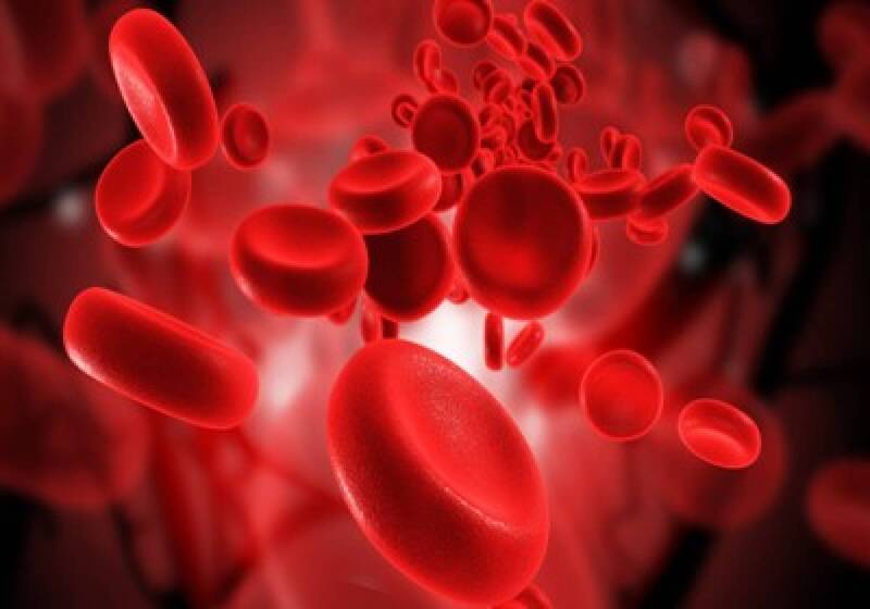 Có nhiều chỉ số khảo sát hồng cầu trong máu