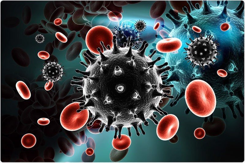 HIV là virus tấn công hệ miễn dịch của cơ thể