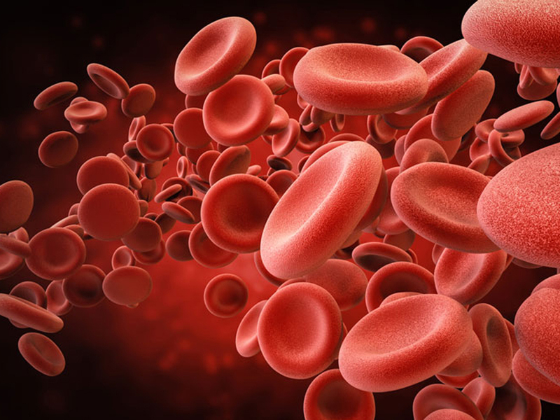 Quá trình đông máu là quá trình sinh lý quan trọng của cơ thể