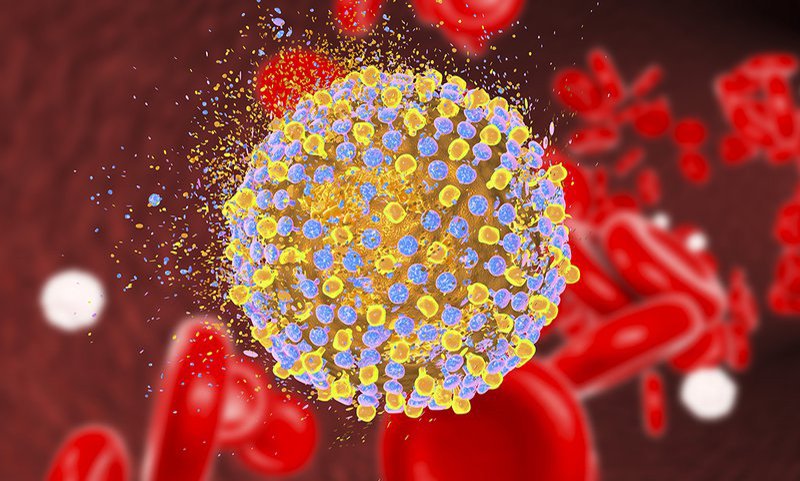 Virus viêm gan E - tác nhân gây bệnh viêm gan E