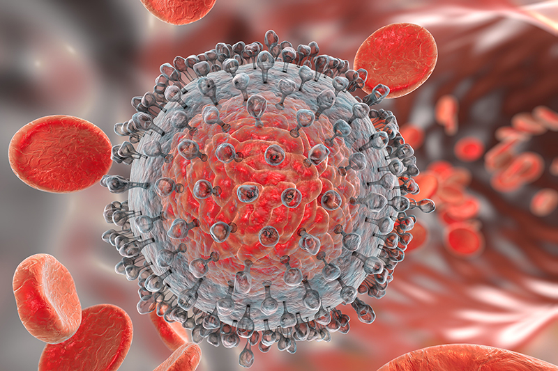 Virus HCV xâm nhập và tấn công gan 