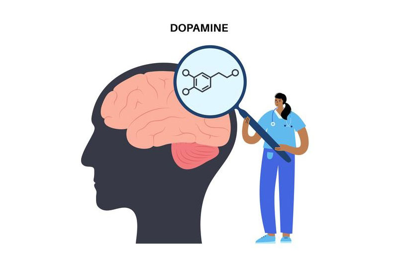 Sự thiếu hụt hormone Dopamine gây bệnh Parkinson ở người trẻ tuổi
