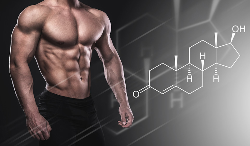   Hàm lượng Testosterone ảnh hưởng lớn đến hệ xương, cơ, cơ quan sinh sản,…