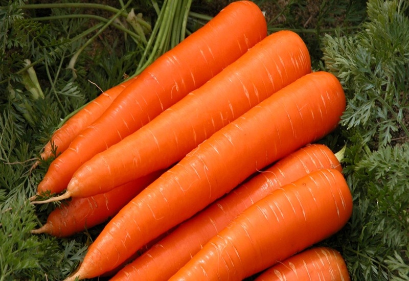  Nên bổ sung cà rốt trong chế độ ăn khi trẻ bị cảm lạnh