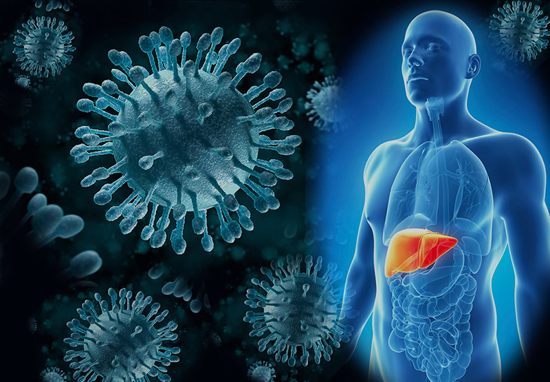 Viêm gan B là bệnh lý phổ biến, để lại nhiều biến chứng nguy hiểm 