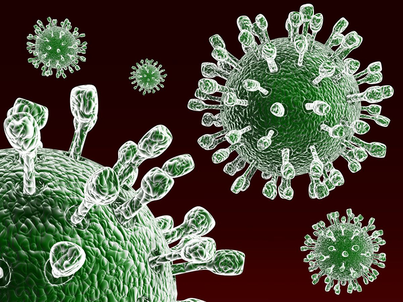 Virus rota là nguyên nhân gây tiêu chảy ở trẻ nhỏ 