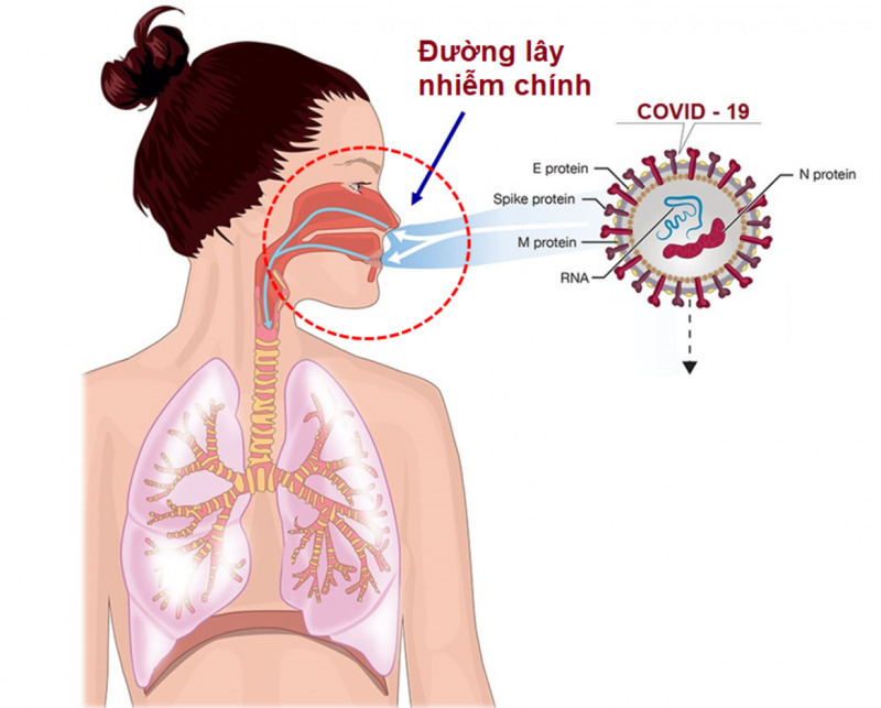 Tiếp xúc với người bệnh ở khoảng cách gần có nguy cơ nhiễm bệnh nhiễm trùng đường không khí cao